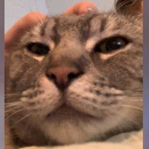 Meet your Posher, Lily